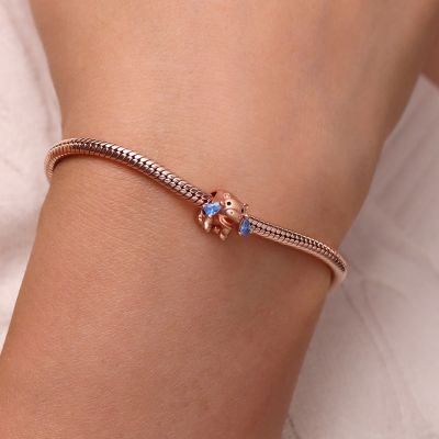 Hippo Charm