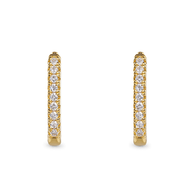 Solid Gold Hoop Earrings