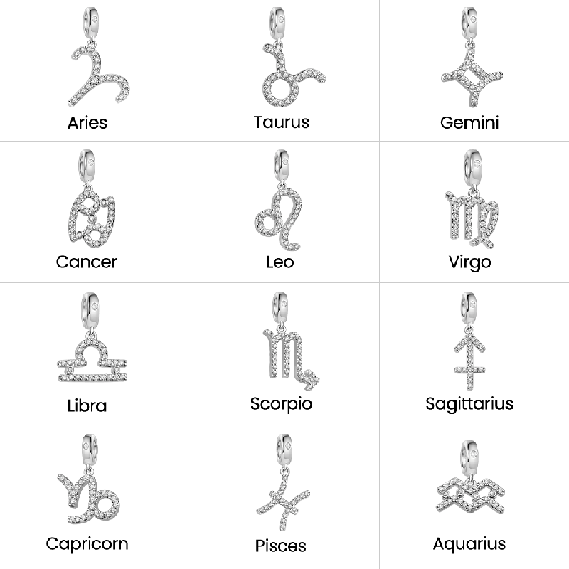 Zodiac Sign Charm