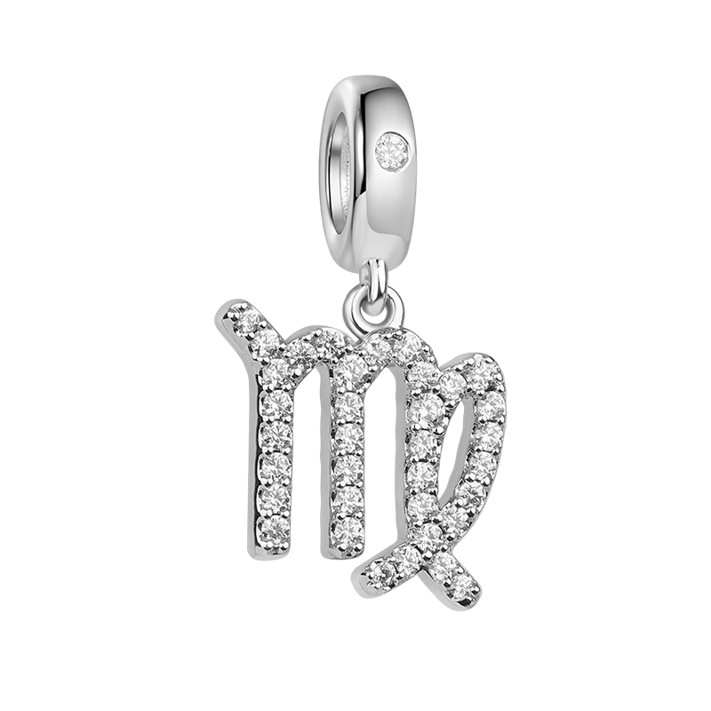 Zodiac Sign Charm