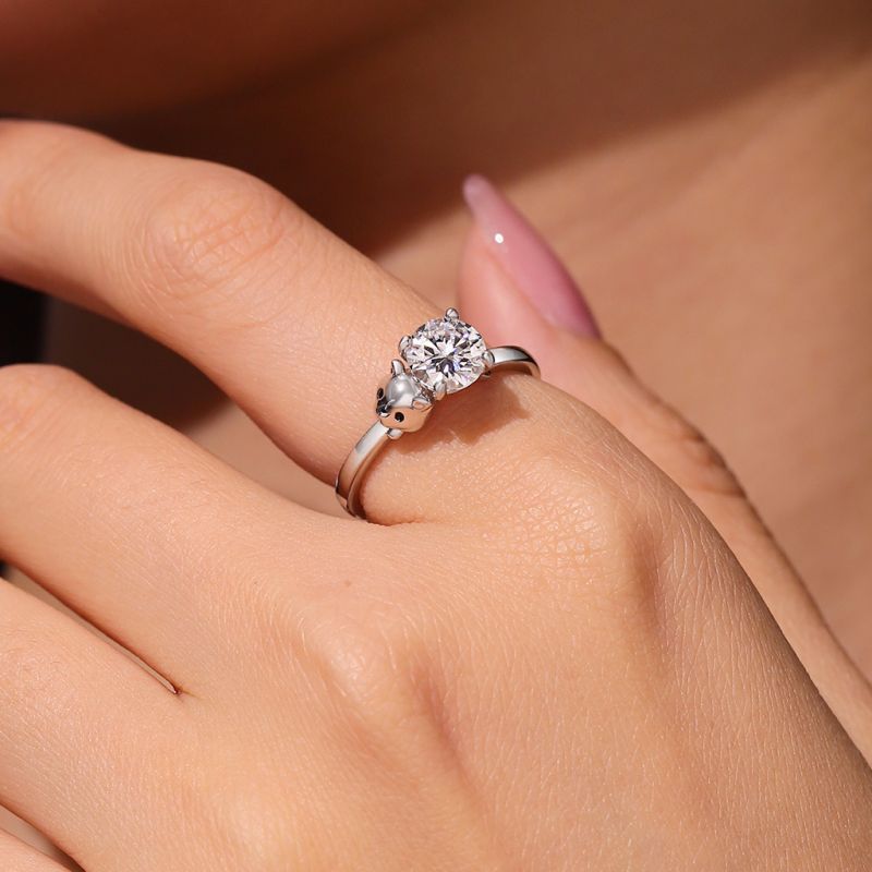 Hamster Ring