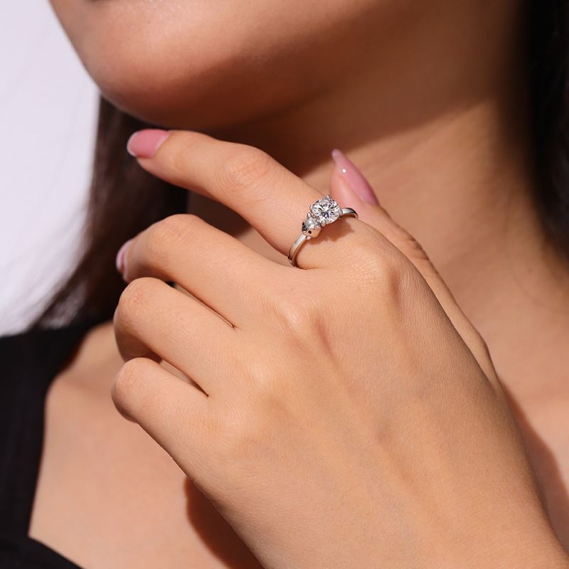 Hamster Ring