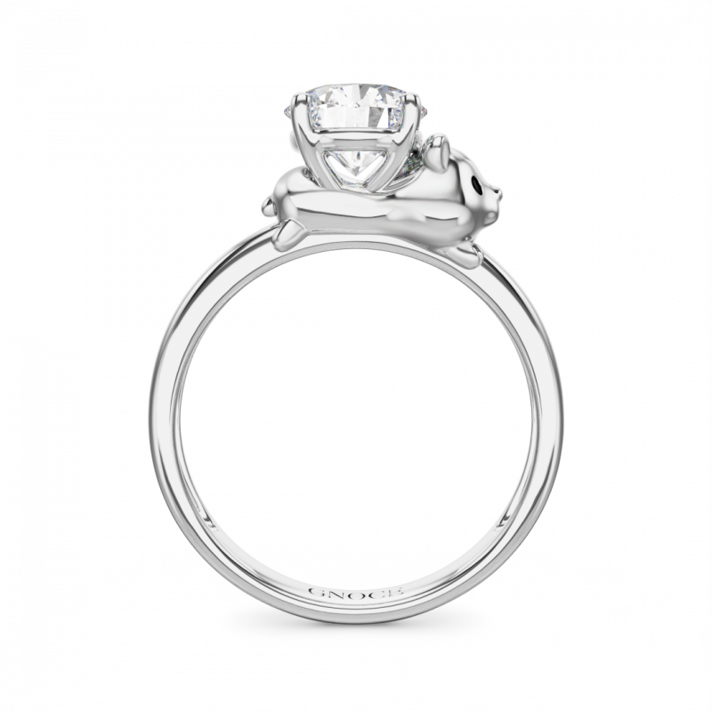 Hamster Ring