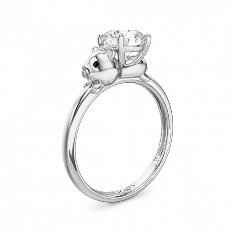 Hamster Ring