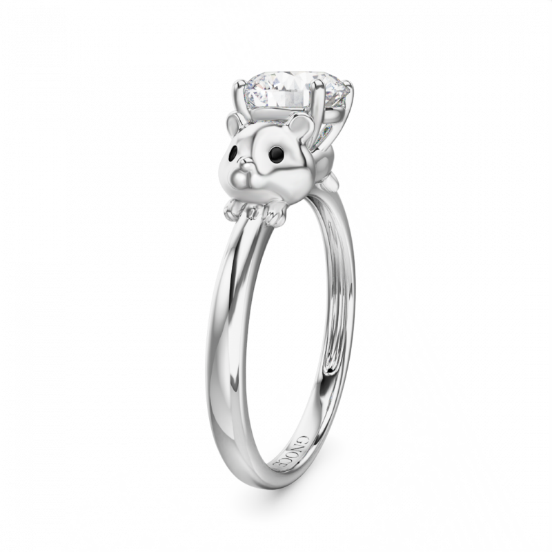 Hamster Ring