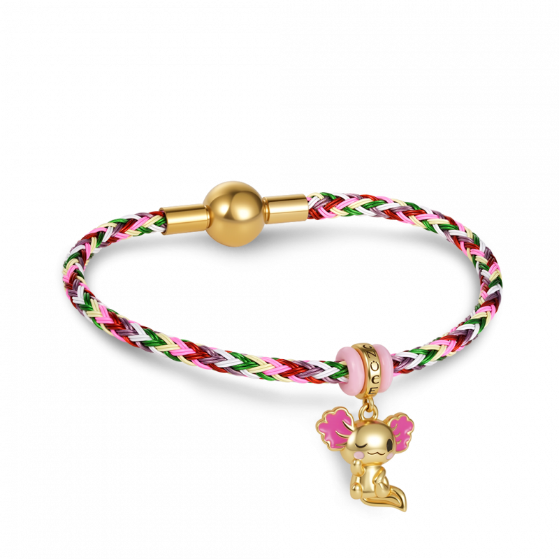 Multicolor Basic Bracelet